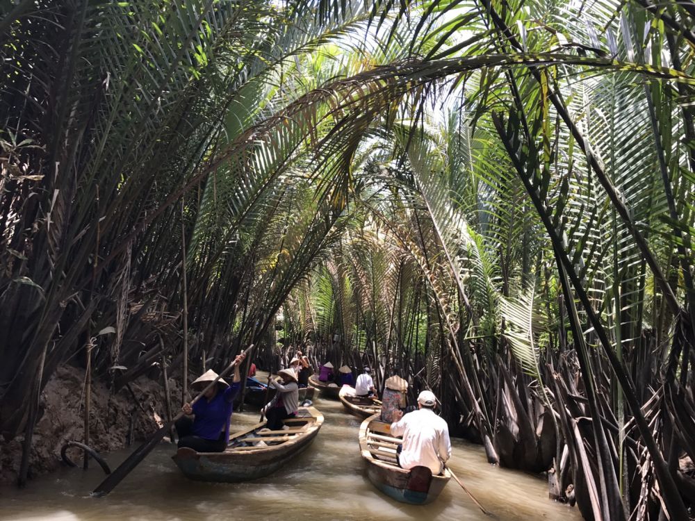 【ホーチミン発】市内観光＋メコン川蛍ツアー 10