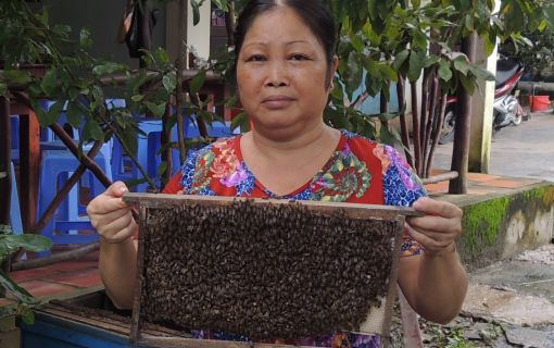 【ホーチミン発】市内観光＋メコン川蛍ツアー 9