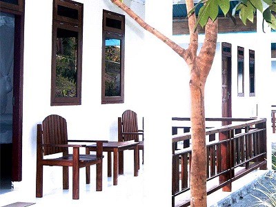 【ジャカルタ発】タルシウスに会いに行こう！タンココ国立公園～スラウェシ島～ 6