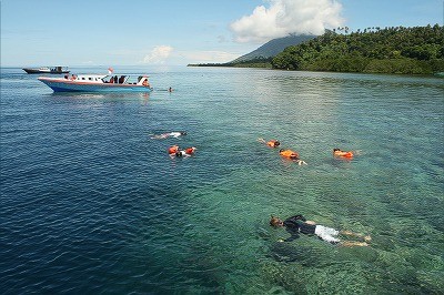 【ジャカルタ発】タルシウスに会いに行こう！タンココ国立公園～スラウェシ島～ 9