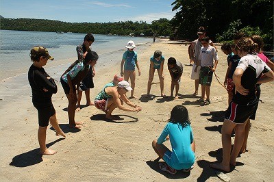【ジャカルタ発】タルシウスに会いに行こう！タンココ国立公園～スラウェシ島～ 11