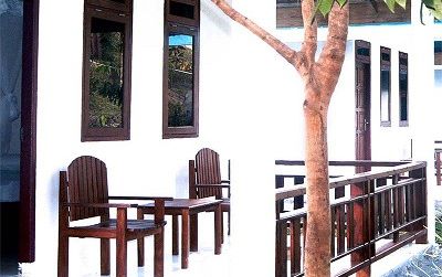 【ジャカルタ発】タルシウスに会いに行こう！タンココ国立公園～スラウェシ島～ 6