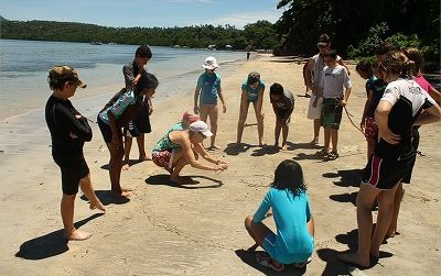 【ジャカルタ発】タルシウスに会いに行こう！タンココ国立公園～スラウェシ島～ 11