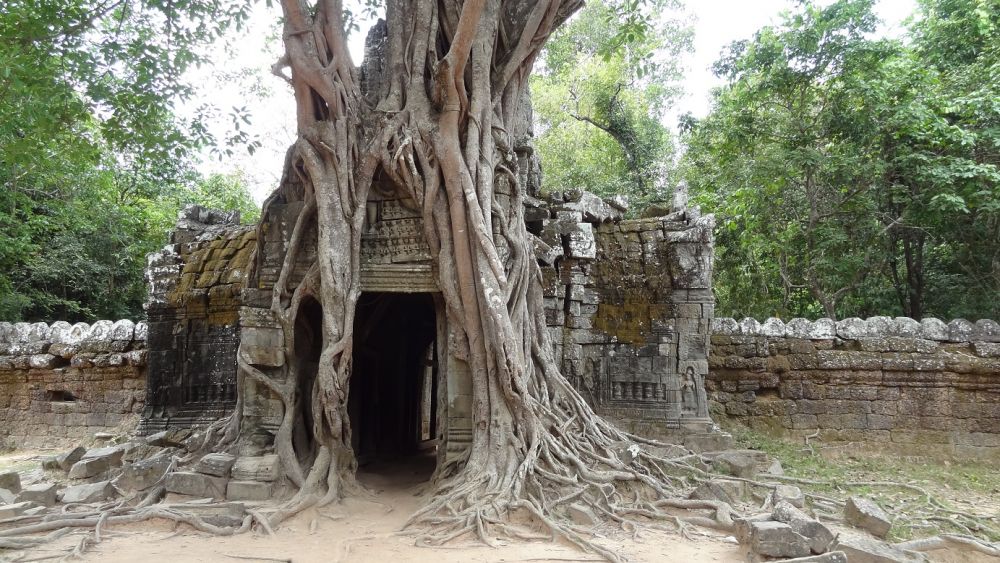 【バンコク発/カンボジア】朝日鑑賞付き！ 世界遺産アンコールワット2泊3日の旅 4