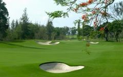 ゴルフ満喫プラン♪サイアムカントリークラブ＆パタヤ宿泊（バンコク発） 8