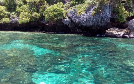 タイ在住者限定　ピピ島とバンブー島