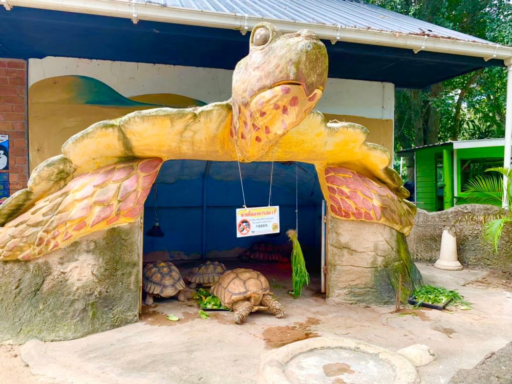 《タイ語ドライバー送迎付き》カオキアオ動物園 & バンセーン周辺お立ち寄り♪ (バンコク発) 5