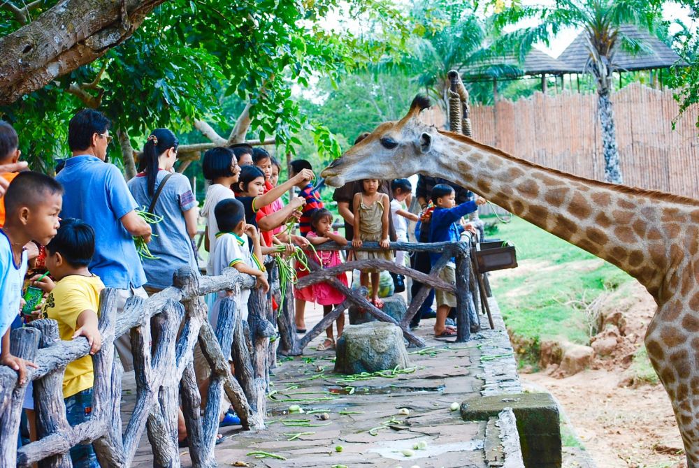 《タイ語ドライバー送迎付き》カオキアオ動物園 & バンセーン周辺お立ち寄り♪ (バンコク発) 3