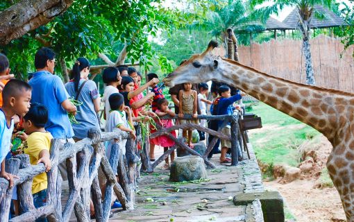 《タイ語ドライバー送迎付き》カオキアオ動物園 & バンセーン周辺お立ち寄り♪ (バンコク発) 3