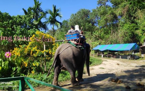 ブキット・サファリ (サファリツアー, プーケット)英語ガイド 3