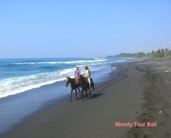 海風を受けながら海岸散歩！