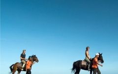 青い海と青い空に包まれる爽快！ホースライディング！