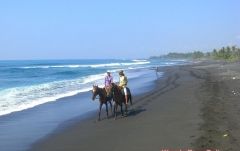 海風を受けながら海岸散歩！