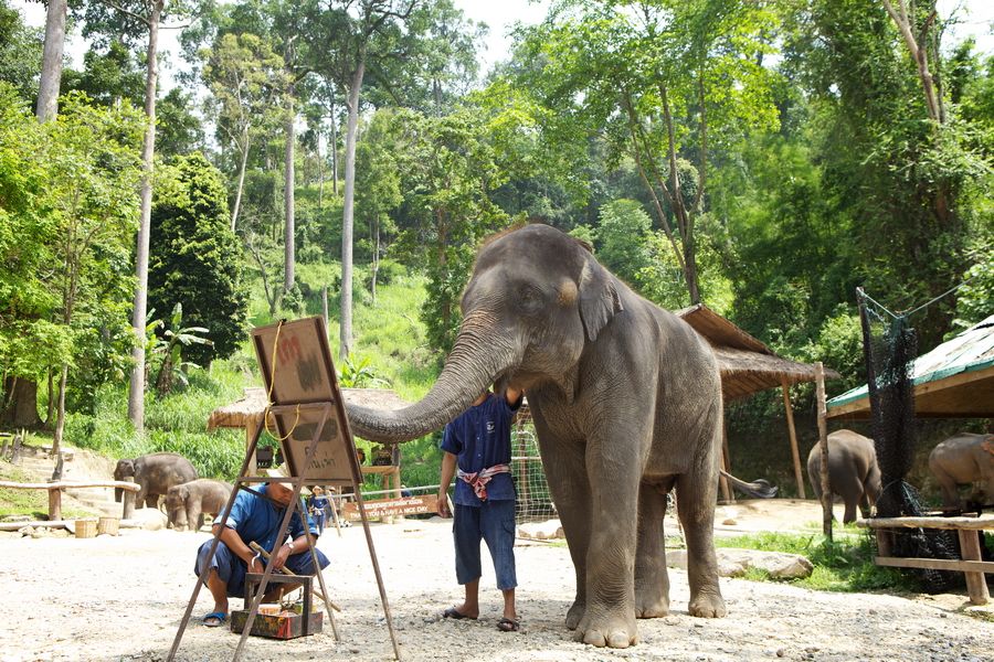 エレファントキャンプ