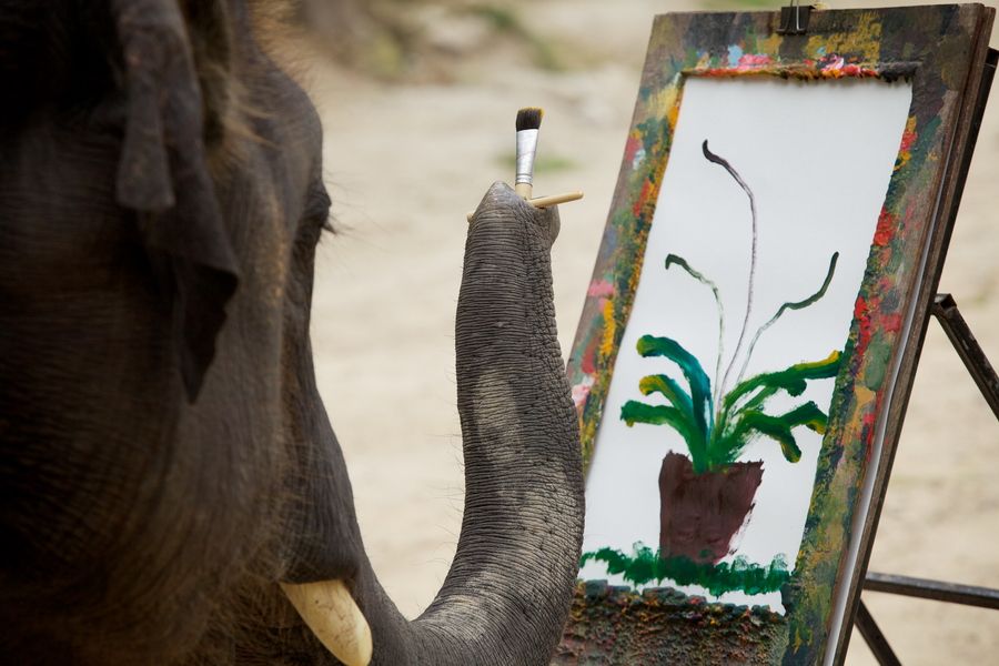 エレファントキャンプ