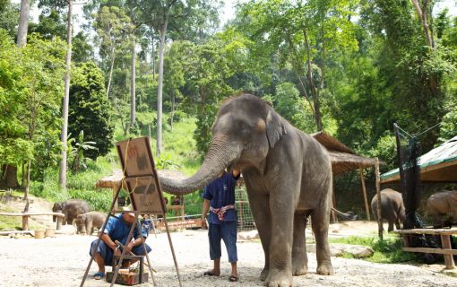 エレファントキャンプ