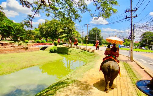 じっくり1日!世界遺産アユタヤツアー 4