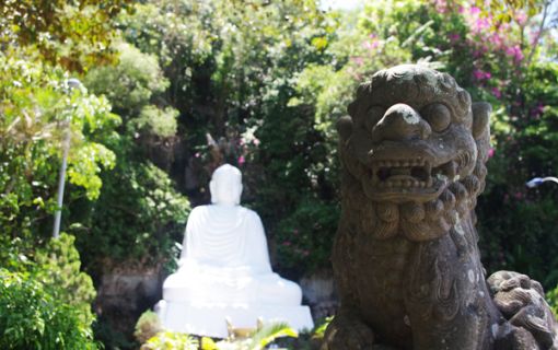 【ホイアン発】ダナン市内観光&ショッピング <午前発半日観光> 6