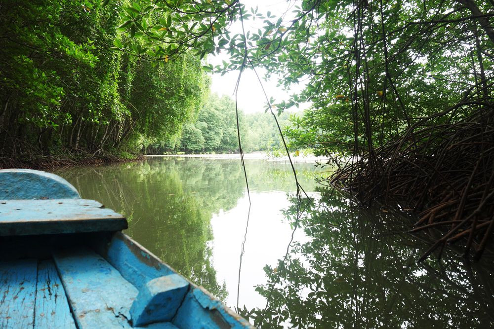 【ホーチミン発】カンザー・マングローブの森 6