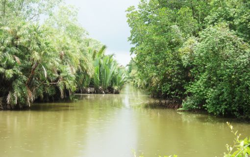 【ホーチミン発】カンザー・マングローブの森 11