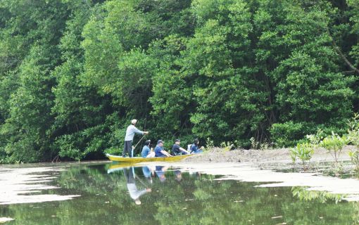 【ホーチミン発】カンザー・マングローブの森 4