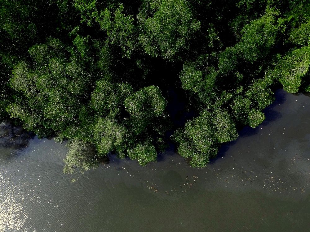 サンセット･サファリ･クルーズ 3