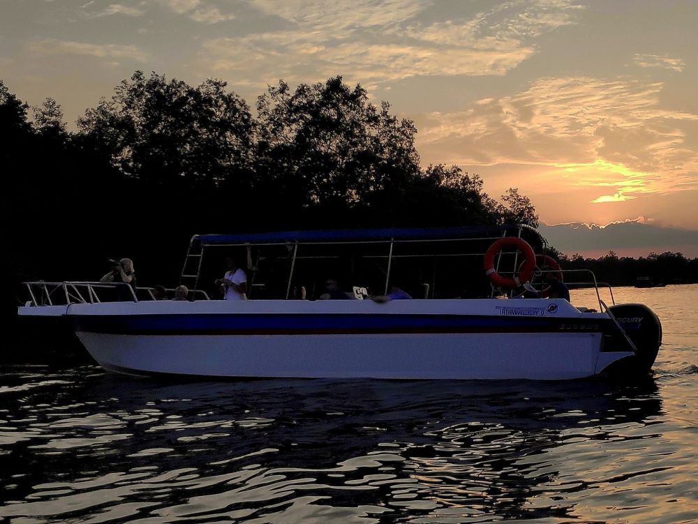 サンセット･サファリ･クルーズ 1