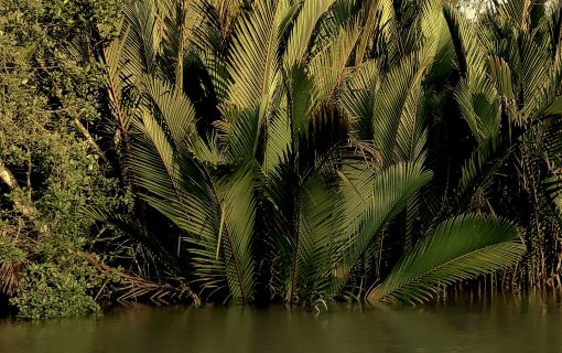 サンセット･サファリ･クルーズ 2