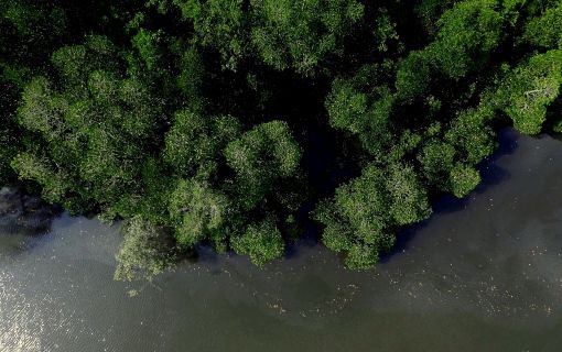 サンセット･サファリ･クルーズ 3