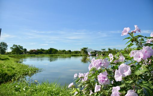 【中級者向け】釣り堀体験！＠パイロット（バンコク発） 2