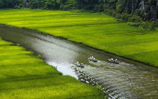 【ハノイ発】クックフン国立公園＆チャンアンクルーズツアー