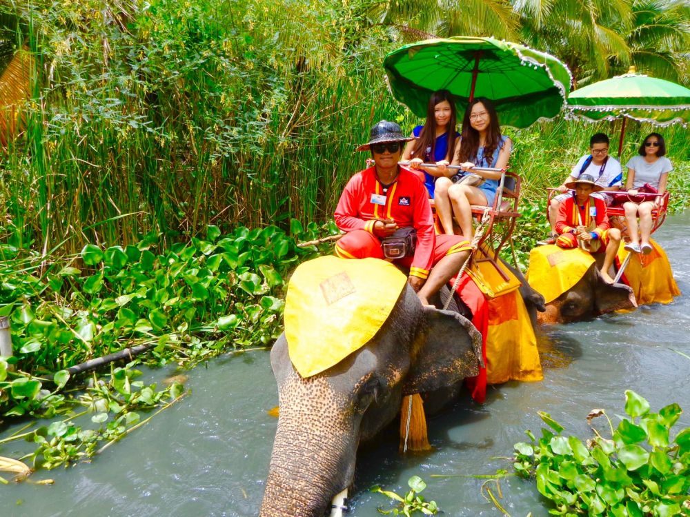 【バンコク発】エレファント･ライドと水上マーケット 3