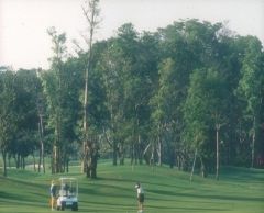 ナバタニ・ゴルフ・コース （バンコク） 2