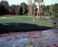 ナバタニ・ゴルフ・コース （バンコク） 4