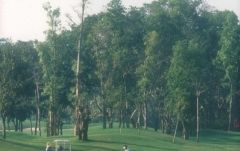 ナバタニ・ゴルフ・コース （バンコク） 2