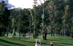 ナバタニ・ゴルフ・コース （バンコク） 3