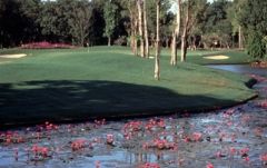 ナバタニ・ゴルフ・コース （バンコク） 4