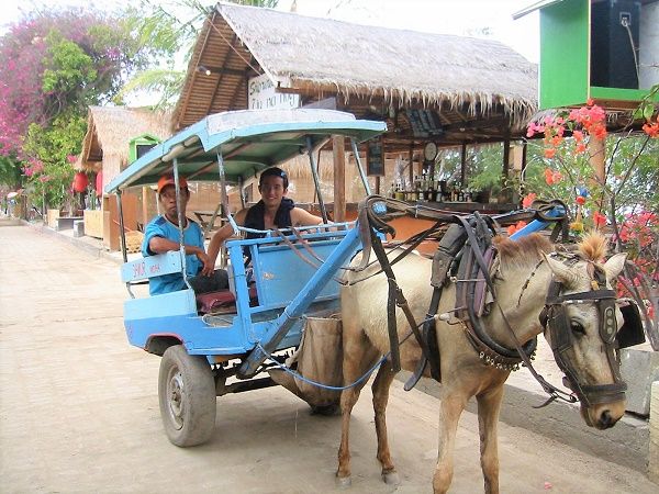 ギリ島内移動用 チドモ(馬車)