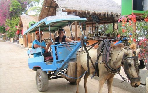 ギリ島内移動用 チドモ(馬車)