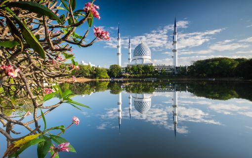 混乗車プラン（多民族国家の民族性を感じることができるマレーシア三大文化大満喫ツアー＜午前発半日観光＞）