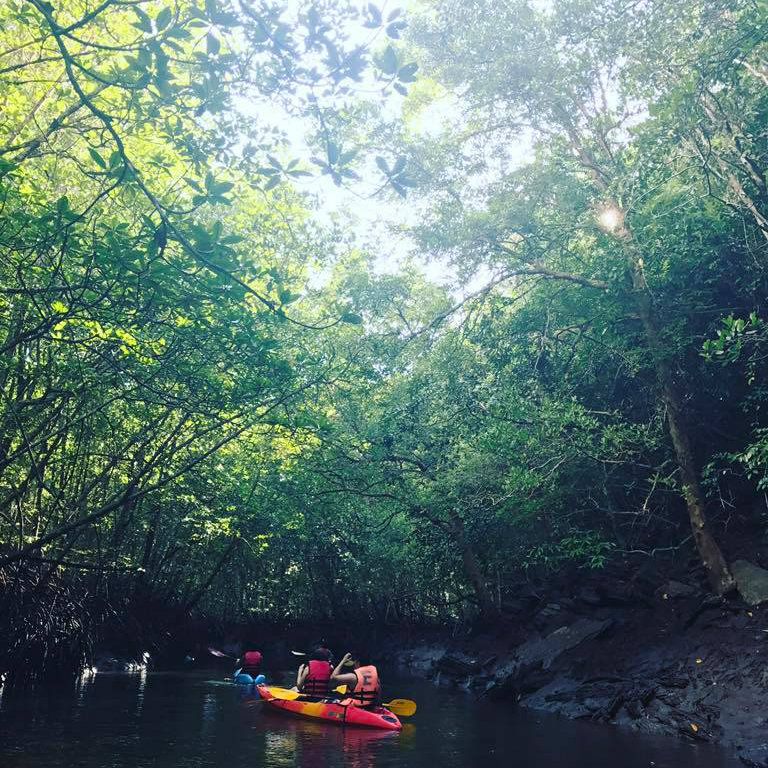 自然の中で大冒険！ランカウイ・カヤック＜夕方発観光＞ 2