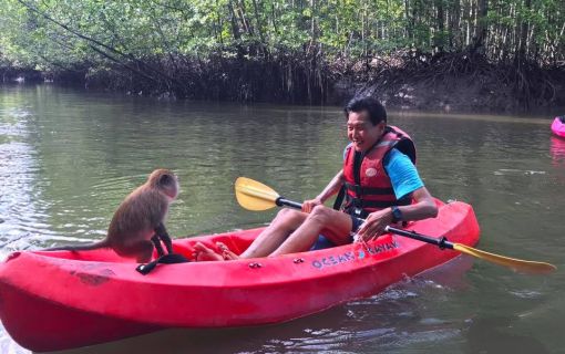 自然の中で大冒険！ランカウイ・カヤック＜夕方発観光＞ 7
