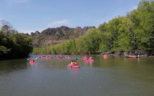 自然の中で大冒険！ランカウイ・カヤック＜夕方発観光＞ 4