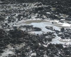 マッドボルケーノ