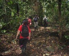 タビンワイルドライフ