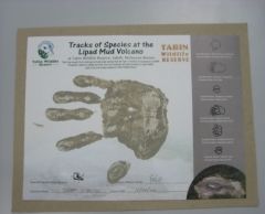 ≪英語ガイド≫ タビン野生動物保護区に行く2泊3日 6