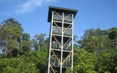 ≪英語ガイド≫ タビン野生動物保護区に行く2泊3日 7