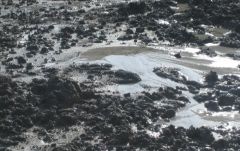 マッドボルケーノ