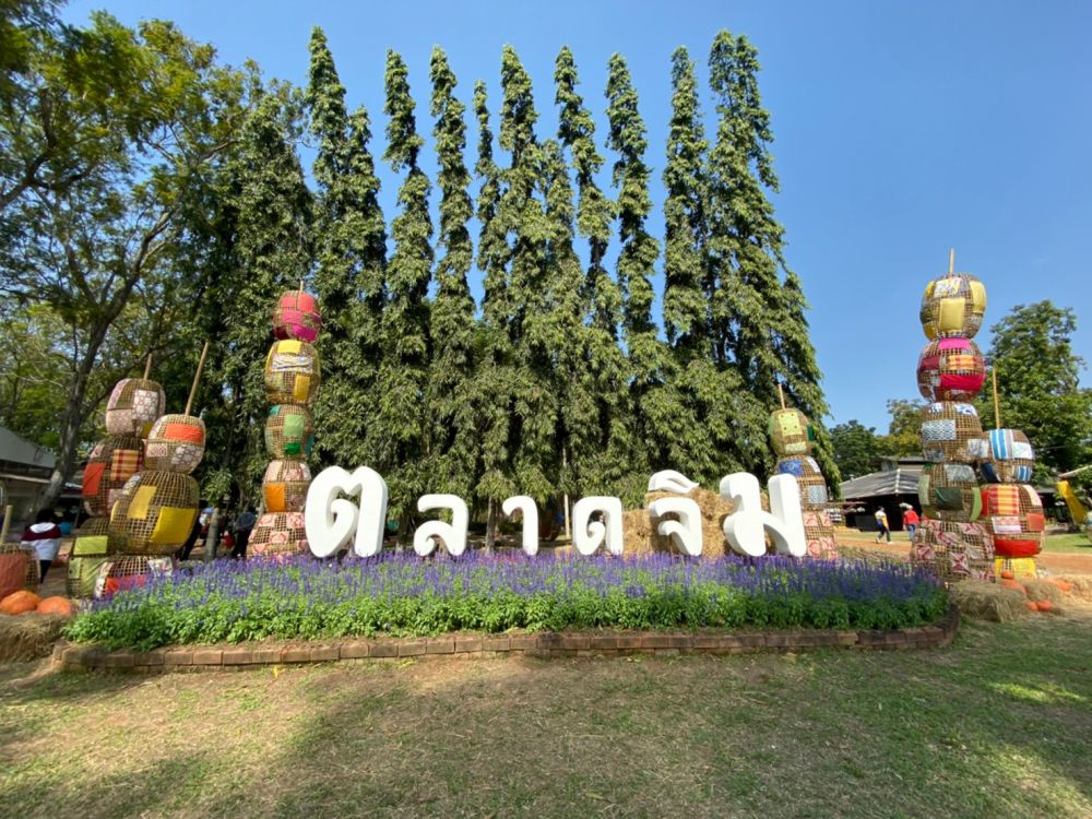 【シラチャー発】期間限定！ジムトンプソンファームとカオヤイ 1泊2日パッケージ 6