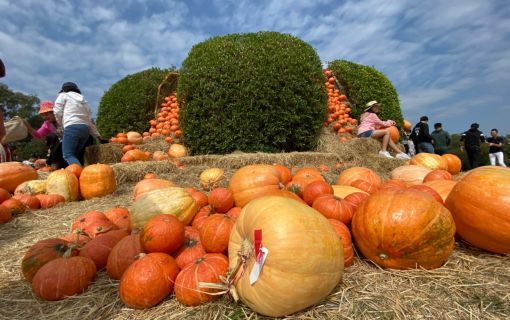 【シラチャー発】期間限定！ジムトンプソンファームとカオヤイ 1泊2日パッケージ 8